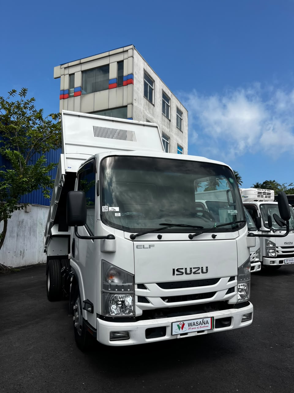 Isuzu TPG-NMR85R ELF